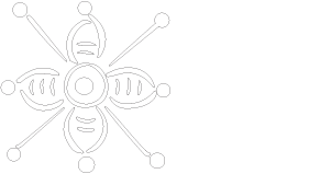 Cuenca Mestiza España